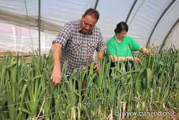 Silvio Monasterolo, presidente Cia zona di Fossano, è coadiuvante nell'azienda agricola della moglie - Cuneodice.it - Cuneodice.it