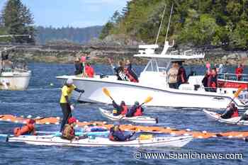 West Coast flotilla pounds drums against fish farm licence renewals – Saanich News - Saanich News