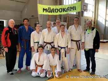 Judo im Bezirk: Erfolge bei der Shinzen Shiai Mannschaftmeisterschaft in Hausmening - meinbezirk.at