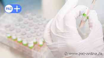 Inzidenz im Kreis Peine steigt erneut an - Peiner Allgemeine Zeitung - PAZ-online.de