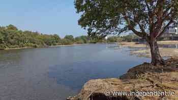 East Rivers Trust to launch Avoca River project - Independent.ie