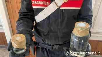 Droga dello stupro, blitz a Siena Arrivava dentro le bottiglie di vino - LA NAZIONE