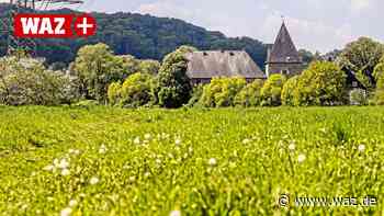 Witten verlegt Bach: Bedenken dagegen kommen aus Hattingen - WAZ News