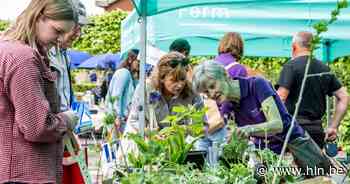 Tuinhier zet werk overleden voorzitter voort met plantenruilmarkt - Het Laatste Nieuws