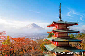 La cultura giapponese va in scena a Cremona il 21 e 22 maggio - VareseNoi.it