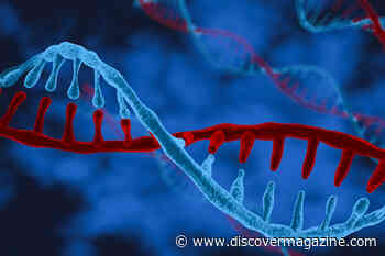 Scientists Have Finally Mapped the Entire Human Genome