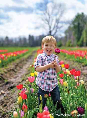 6 Pick-Your-Own Flower Farms in Rhode Island - Rhode Island Monthly