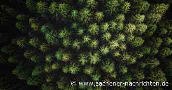 Wirtschaftsförderung in der Städteregion: Mit diesem Pool soll das Gewerbe expandieren können