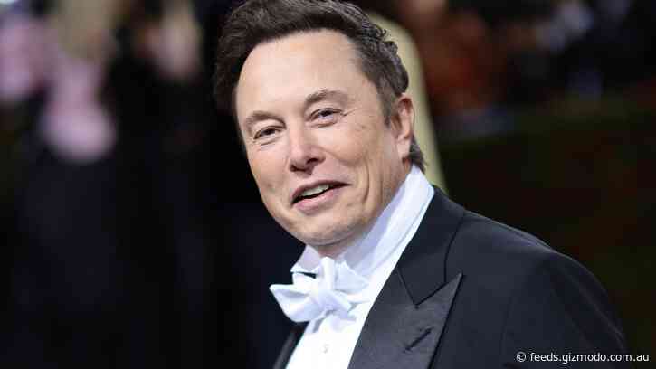 Elon Wants Trump Back on Twitter
