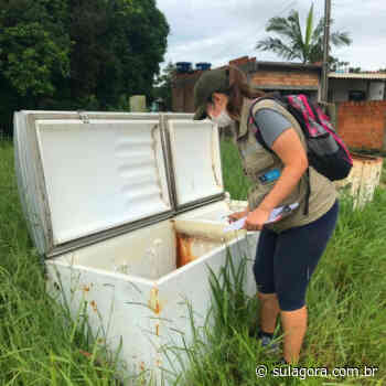 Imbituba chega ao 49º foco do Aedes aegypti em 2022 - Sul Agora