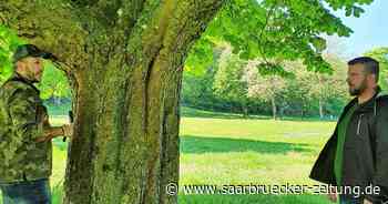 Unterwegs mit den Baumkontrolleuren der Stadt Neunkirchen - Saarbrücker Zeitung