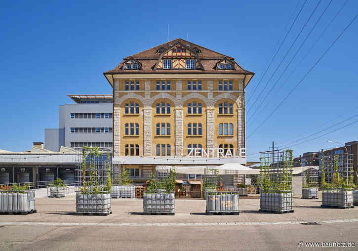 Quartiersentwicklung Spinelli - Sommerprogramm in Mannheim