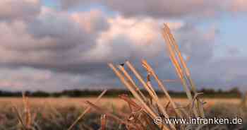 Özdemir: Bauern über EU-Regeln mehr Weizenanbau ermöglichen