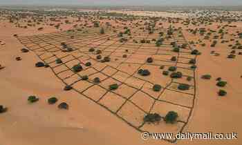 Number of droughts has surged 29% since 2000 - and mitigation is needed urgently, UN warns