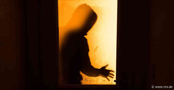 Heidelberg:  Einbrecher suchen Bunsen-Gymnasium heim