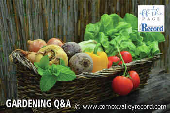 Off The Page podcast: Ask an expert gardener - Comox Valley Record