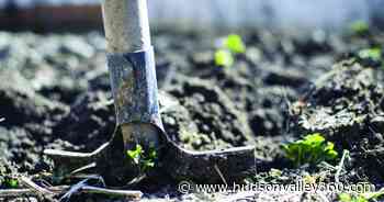 Be a Better Gardener: Please hold that fertilizer - Hudson Valley 360