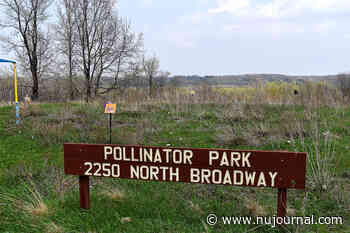 Gardener, friends say pollinators vital to local ecosystem - NUjournal