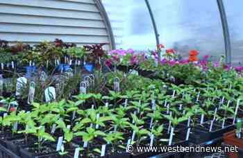 21st Annual Master Gardener Volunteer Plant event - West Bend News