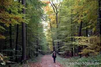 Wald und Flur in Aachen: Was ist zu beachten? - aachen50plus