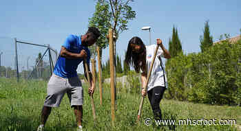 40 arbres plantés à Montferrier sur Lez ! - MHSC