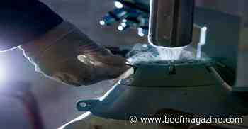 Benefits of estrus synchronization and artificial insemination