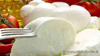 A Priverno la 24° edizione della Sagra Agro Alimentare - LatinaToday