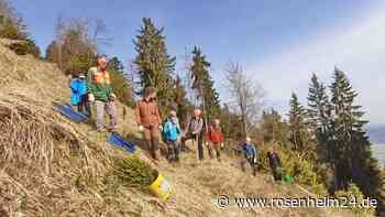 8.000 Bäume auf der Hofalm gepflanzt: Wenn Aufforsten Schülersache wird