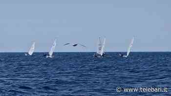 Vela, trionfo del CV Bari: tutti sul podio ai campionati di Gallipoli - Telebari