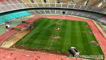 Bari, l'azienda che ha curato Meazza e Bernabeu al lavoro sul campo del San Nicola. Decaro: "Speriamo porti bene" - La Repubblica
