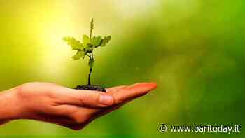 “Piantiamo la salute!”, a Bari l'iniziativa che promuove comportamenti virtuosi: un albero piantato simbolo di rinascita e di rinnovamento - BariToday
