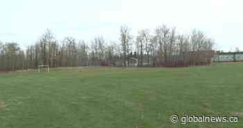 Edmonton police search for sexual assault suspect near Crawford Plains park