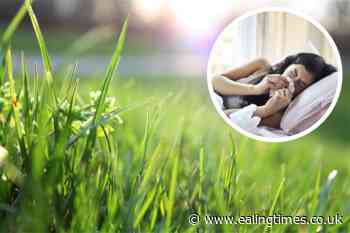 How to battle Hay fever in the garden this summer - Ealing Times