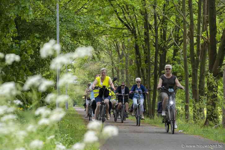 Populairste stukje fietsostrade van de Kempen ligt in Ramsel en gaat dwars door de natuur: “Zalig om zo je dag te beginnen”