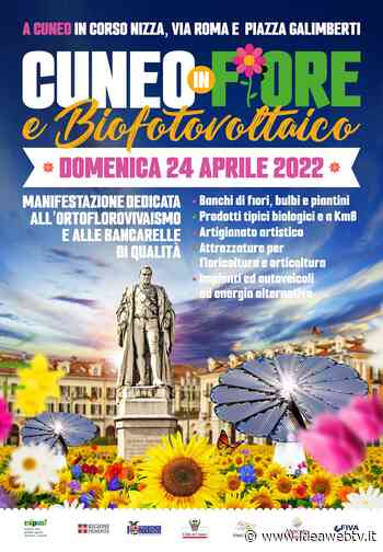 Domenica 24 aprile la primavera si colora con “Cuneo in fiore e biofotovoltaico” - IdeaWebTv