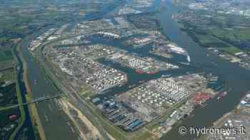La Port Authority di Rotterdam: “Dal 2030 saremo in grado di fornire all'Europa 4,6 milioni di tonnellate di H2 all'anno” - Hydronews