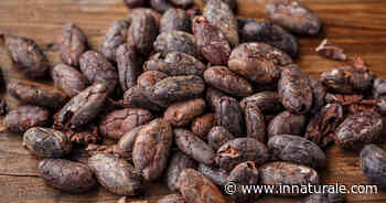 Una cioccolata in grado di unire Samoa - inNaturale.com