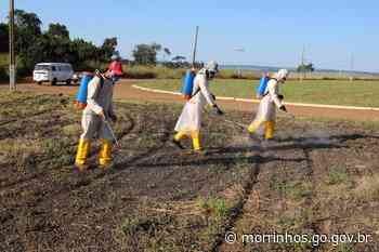 Equipes de limpeza começam semana a todo vapor - Prefeitura Municipal de Morrinhos (.gov)