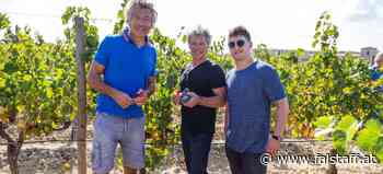 Drink Pink: Diving into Hampton Water Rosé