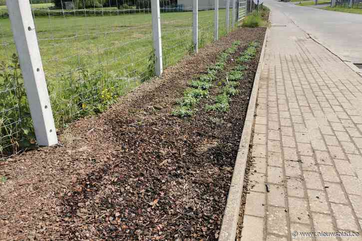 Tweede brandje in even veel weken na doortocht met gasbrander