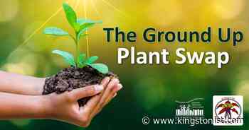 Make your life greener with KFPL and Kingston Horticultural Society plant swap - Kingstonist