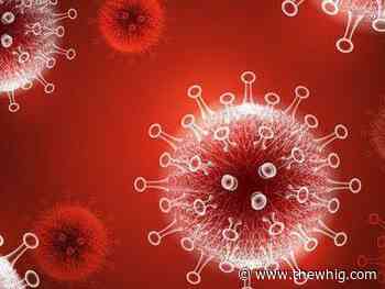 Three more COVID-19 deaths since Thursday - The Kingston Whig-Standard