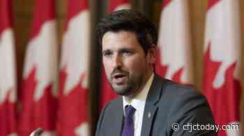 Canadian government charters flights for Ukrainians fleeing war - CFJC Today Kamloops