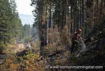 Kelowna, Cranbrook, Kamloops being 'carefully monitored' for wildfire risks amid dry spring – Vernon Morning Star - Vernon Morning Star