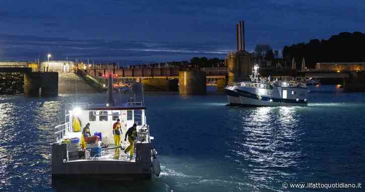 Senato, diventa legge il “Salva mare”: approvato il testo che consente ai pescatori di portare a terra i rifiuti raccolti per errore