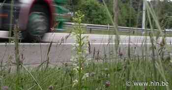 Nu ook opritten naar Nederland afgesloten vanuit Maasmechelen: zware verkeershinder blijft aanhouden - Het Laatste Nieuws