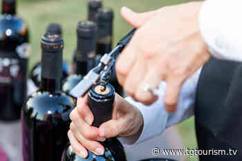 Storie di giovani vignaioli: la prima edizione a Brindisi - TGTourism