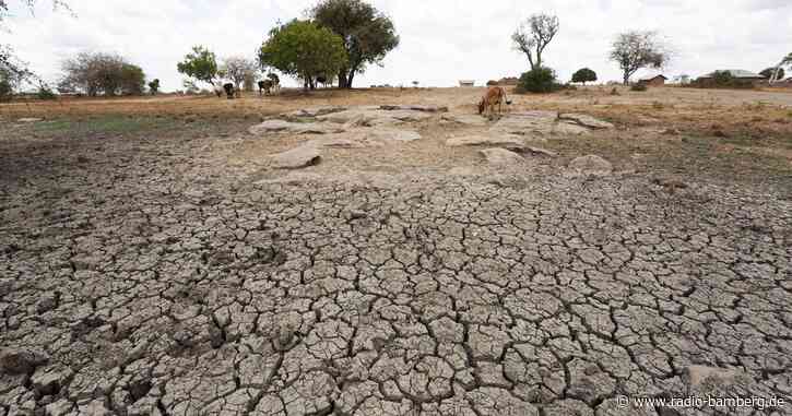 UN-Bericht: Zahl an Dürren um 29 Prozent seit 2000 gestiegen