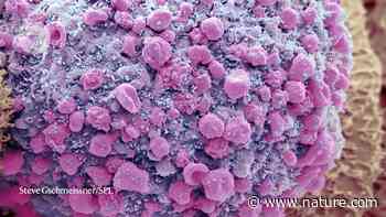 Coronavirus 'ghosts' found lingering in the gut - Nature.com