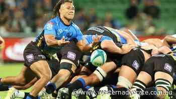 Force lose star scrumhalf for crunch clash - Western Advocate